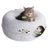 Cattasaurus front view showing full donut and tunnel for versatile play and rest