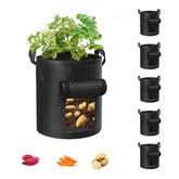 Cavisoo front view of 5-pack grow bags showing compact packaging and convenience