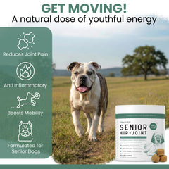 Chew + Heal Labs chew texture profile showing pliable consistency that eases chewing and swallowing