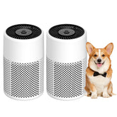 CHIVALZ front view showing compact purifier and clean-air benefit