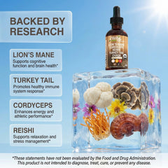 Clean Nutraceuticals ingredient display of varied mushroom powders and extracts