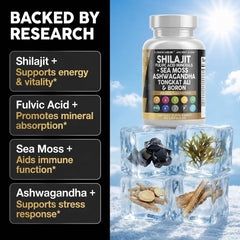 Clean Nutraceuticals supplement facts label detail listing shilajit and cofactors