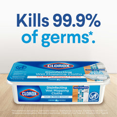 Clorox close-up of ultra textured cloth fabric trapping dirt and hair for better pickup