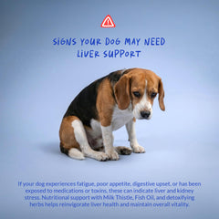 Coco and Luna supplement label close-up listing ingredients and vet-formula benefit