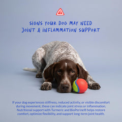 Coco and Luna tablets poured into dog bowl for convenient feeding benefit
