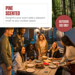 Coleman open tin melt pool detail illustrating even scent release