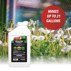 Control Solutions concentrate close-up liquid texture demonstrating low-odor water-based formula