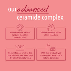 Back label close-up of Curel listing ceramide complex and gentle formula