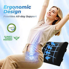 DailyCuddles breathable mesh cover and zipper, allows easy washing