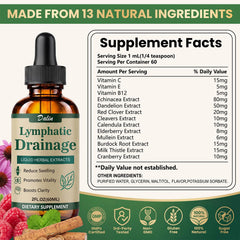 Dalin herbal ingredients flatlay displaying botanicals like echinacea and burdock benefits transparency