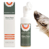 Dandylion front packaging showing bottle and brush for quick cleaning