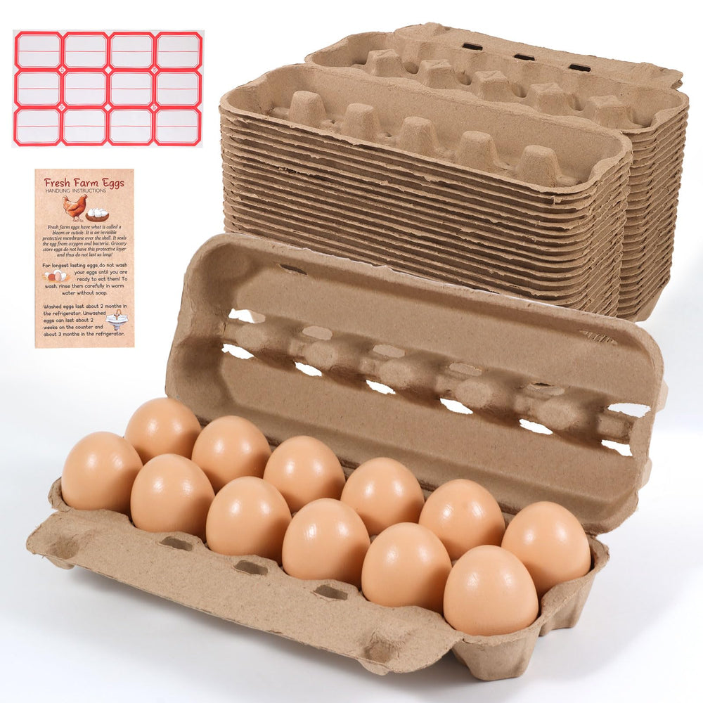 DecarDamai front view of 12-count carton showing neat storage and protection