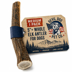 Devil Dog Pet Co front view of medium elk antler shows durable chew benefit