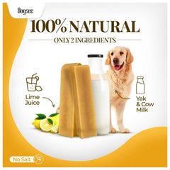 Dogsee bar beside ruler to show large-size fit for dogs 56+ lbs