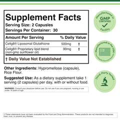 Double Wood close-up of vegetarian capsules highlighting easy swallowing and consistent dosing