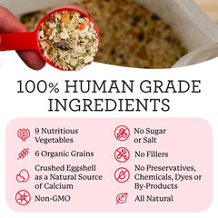 Dr. Harvey's rehydrated bowl with added protein demonstrating meal convenience and appeal
