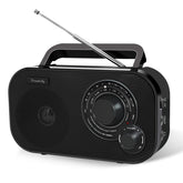 DreamSky front view showing compact radio and clear controls for easy use