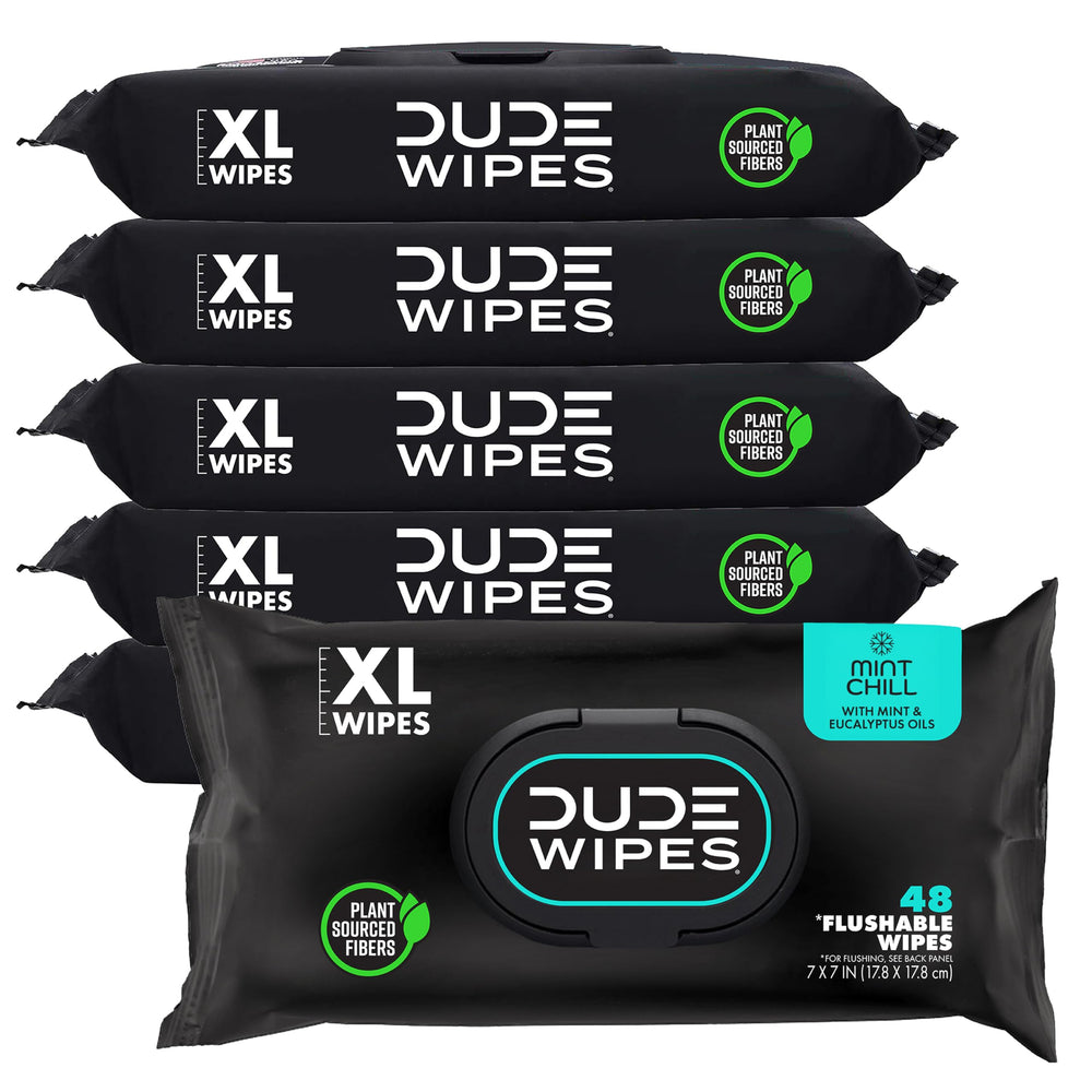 DUDE Wipes front packaging showing 288-count pack and refreshing benefits