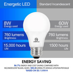 E ENERGETIC LIGHTING lit bulb in lamp providing warm soft-white ambiance