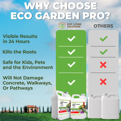 ECO Garden PRO treated driveway before and after showing weed control