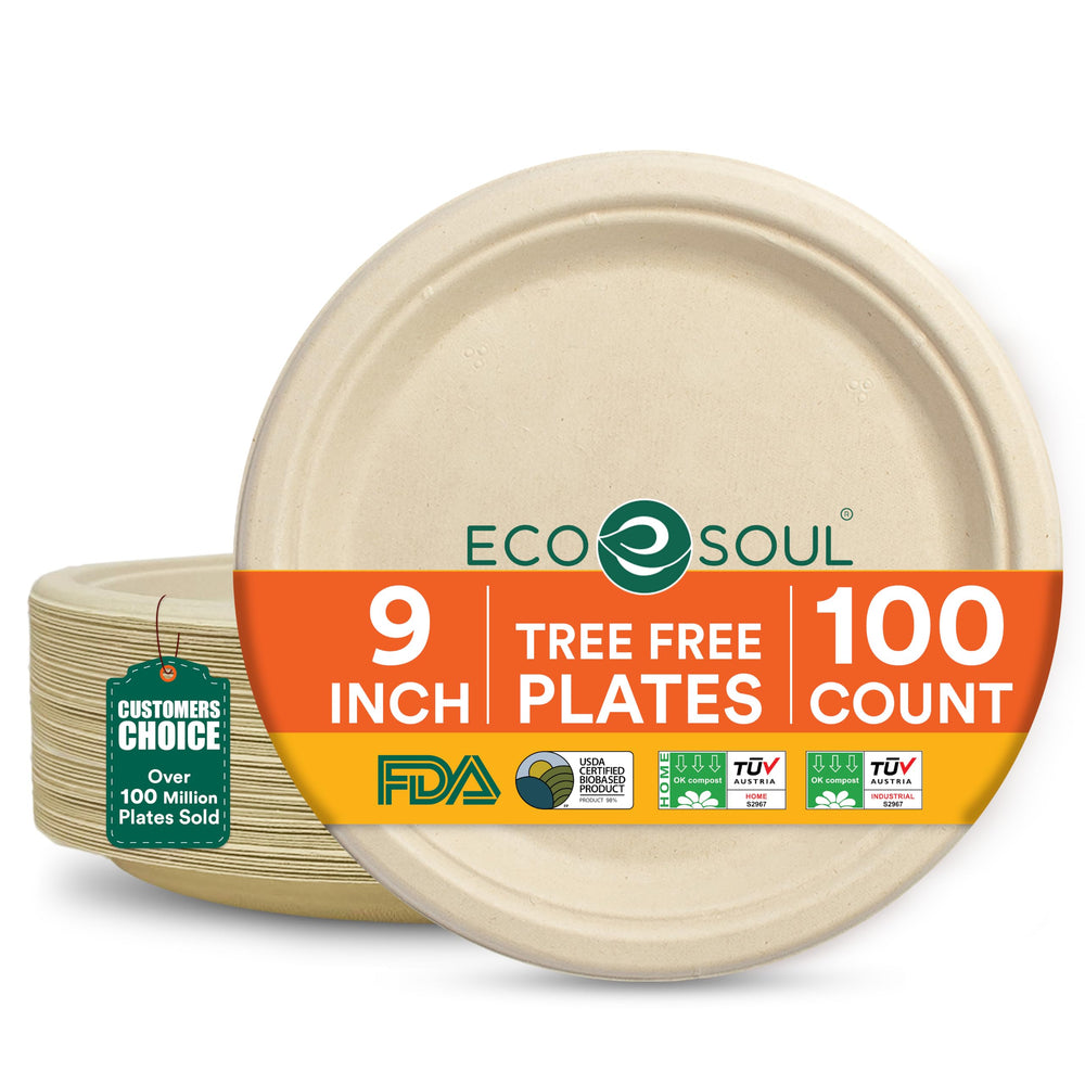 ECO SOUL front packaging showing 100-count compostable plates and easy storage benefit