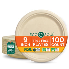 ECO SOUL front packaging showing 100-count compostable plates and easy storage benefit