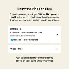 Embark results dashboard on tablet showing breed breakdown and health insights