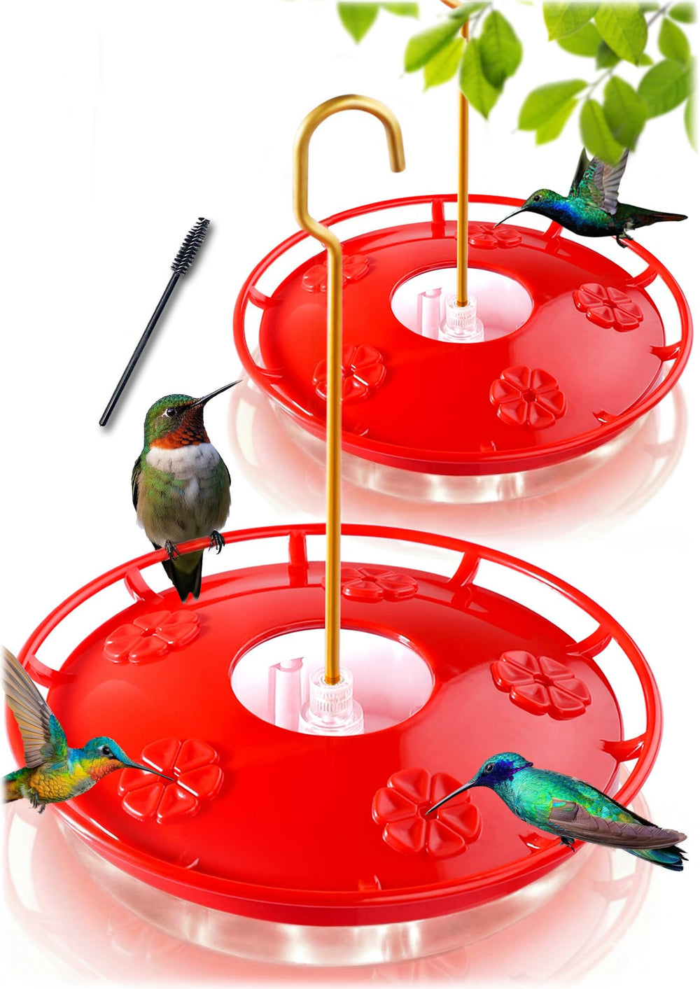 eWonLife saucer feeder front view showing clear tank and red lid, attracts hummingbirds