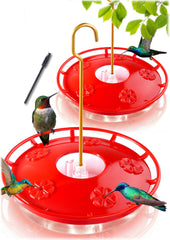 eWonLife saucer feeder front view showing clear tank and red lid, attracts hummingbirds