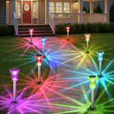 Eyrosa front packaging showing ten solar path lights and benefits