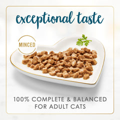 Fancy Feast rich gravy close-up highlighting moisture and appetite appeal