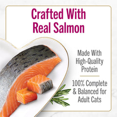 Fancy Feast pâté texture detail showing smooth salmon consistency for palatability