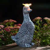 Fashionoda goose front view showing decorative form and curb appeal