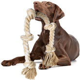 Fida front view of 3-foot rope toy showing five knots and durable build
