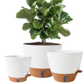 Fielda front view of three pot sizes showing clean design and convenience