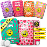 Flintts front tin displaying Fruit Troop branding and colorful design for easy grab-and-go relief