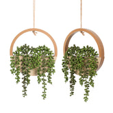 Floweroyal front view wood pot showing finished hanging succulent and natural look