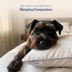 FluffCo Zen Fluff on made bed lifestyle shot conveying cozy cool comfort