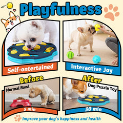 Forfon treat balls arranged to promote active play and exercise