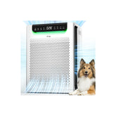 FreAire HAP607 front view showing powerful intake and clean design for faster purification