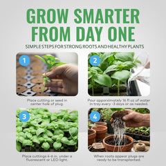 General Hydroponics transplant demo inserting intact plug to reduce shock benefit
