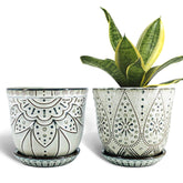 Gepege front view smoked gray planter showing elegant shape and styling benefit
