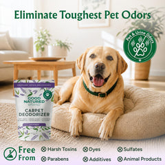 Good Natured Brand sprinkling on carpet demonstrates easy application and odor lift