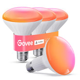 Govee BR30 front packaging showing 4-pack and features