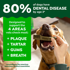 Close-up of Greenies chew texture showing cleaning-action surface benefit