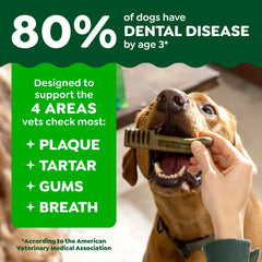 Greenies Petite texture detail highlighting rawhide-free pliable chew benefits