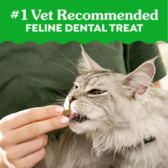 Greenies treat shape detail showing design reaching gumline to reduce tartar