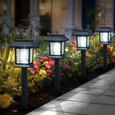 Greluna front packaging showing 12-pack and cool white benefit