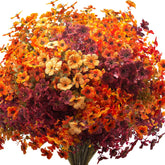 Grunyia front packaging showing full 16-bundle fall mix vibrant and ready