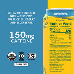 Guayaki Yerba Madre pouring over ice demonstrating refreshing, ready-to-drink energy